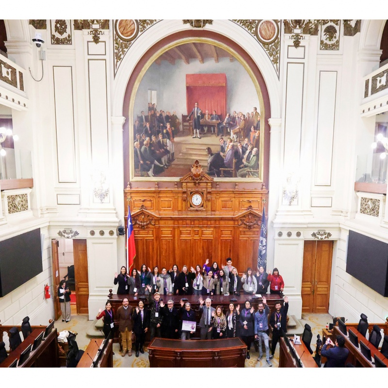 Línea formativa - Parlamentarias: Mujeres en el Congreso Nacional